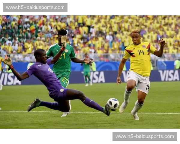 美洲杯可视化：用数据看见足球的激情